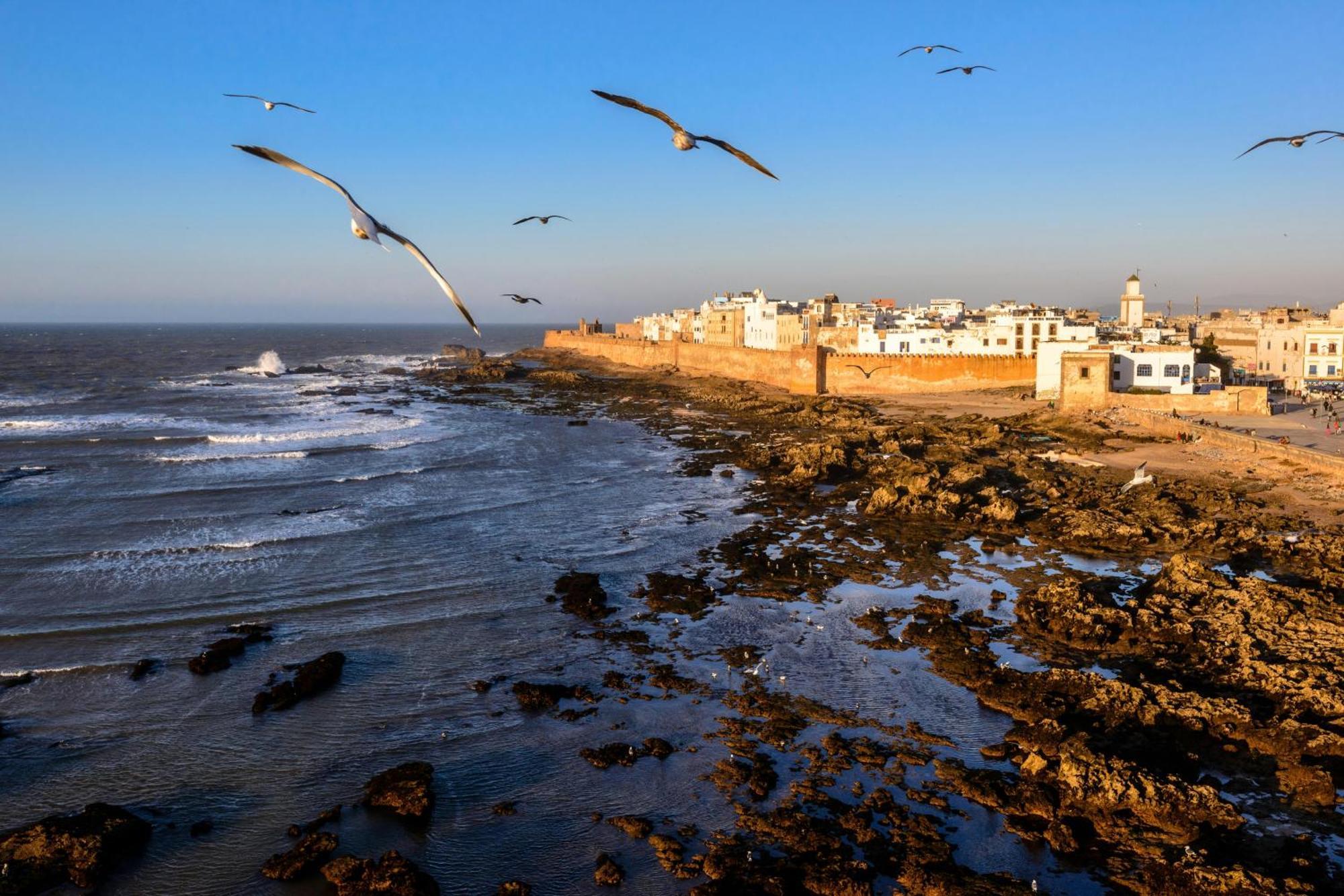 Dar Saffron * Essaouira